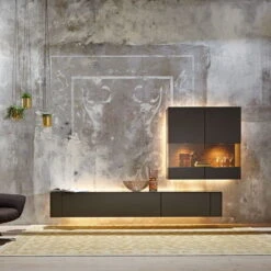 Hülsta Gentis Wohnwand 4 - Akzent Naturstamm - Breite 316,8 Cm